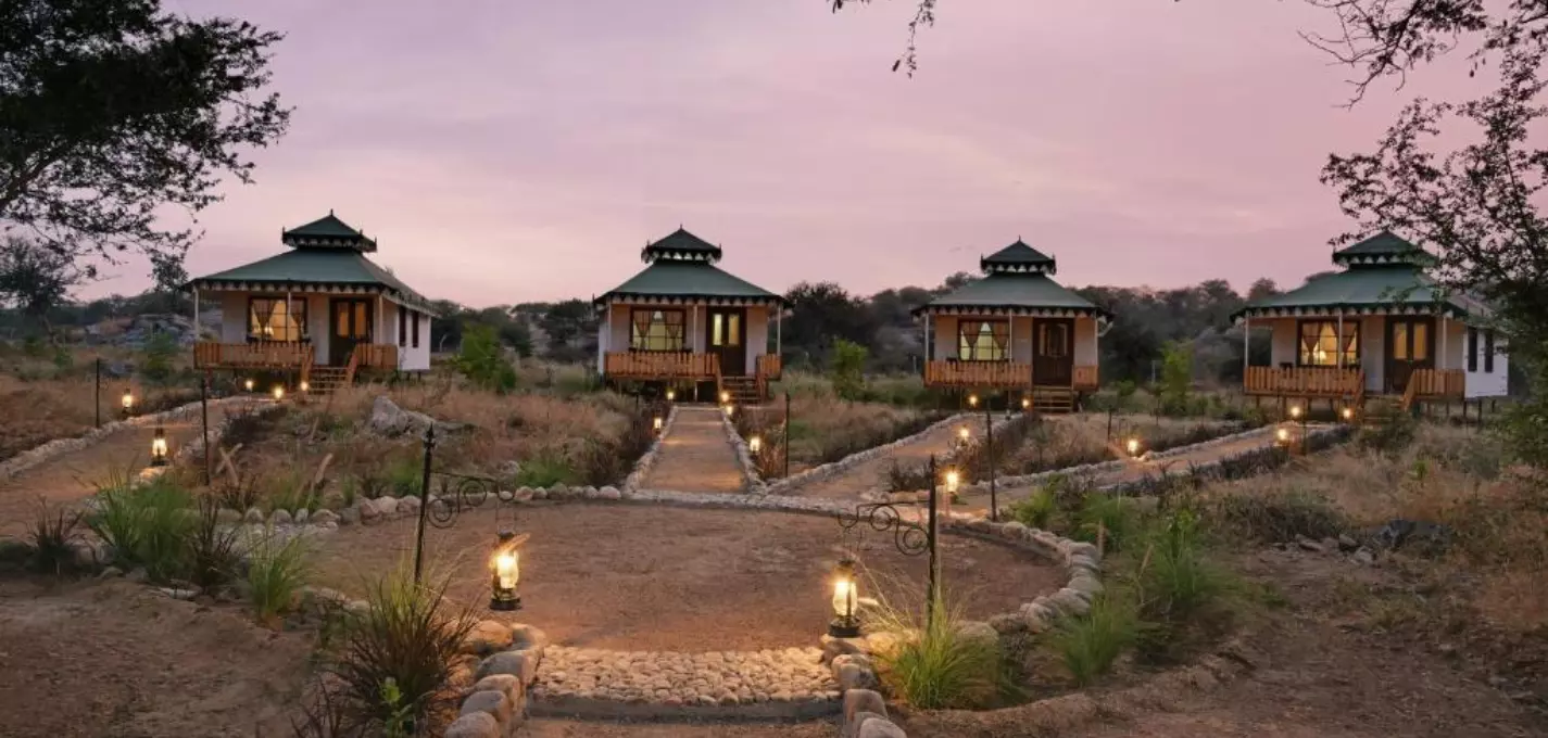 Jawai Leopard Safari